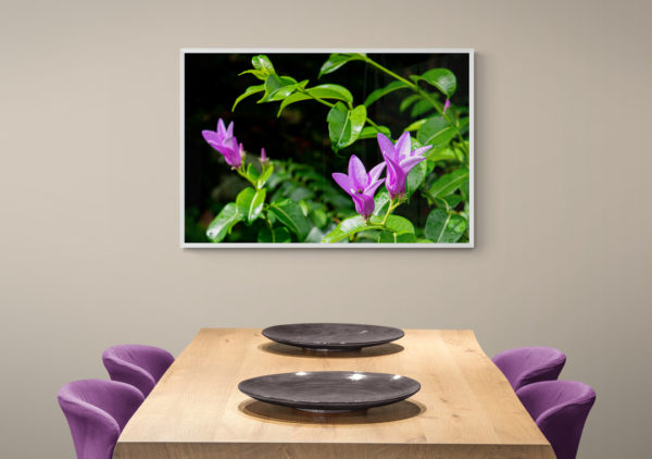 Quadro Flor Horizontal