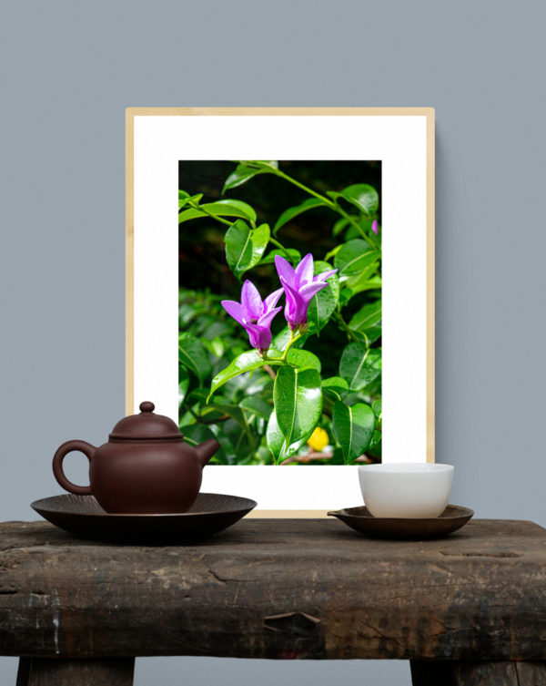 Flores - Image 2