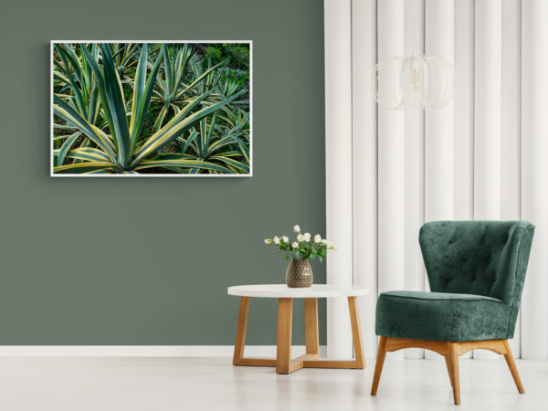 Quadro Planta