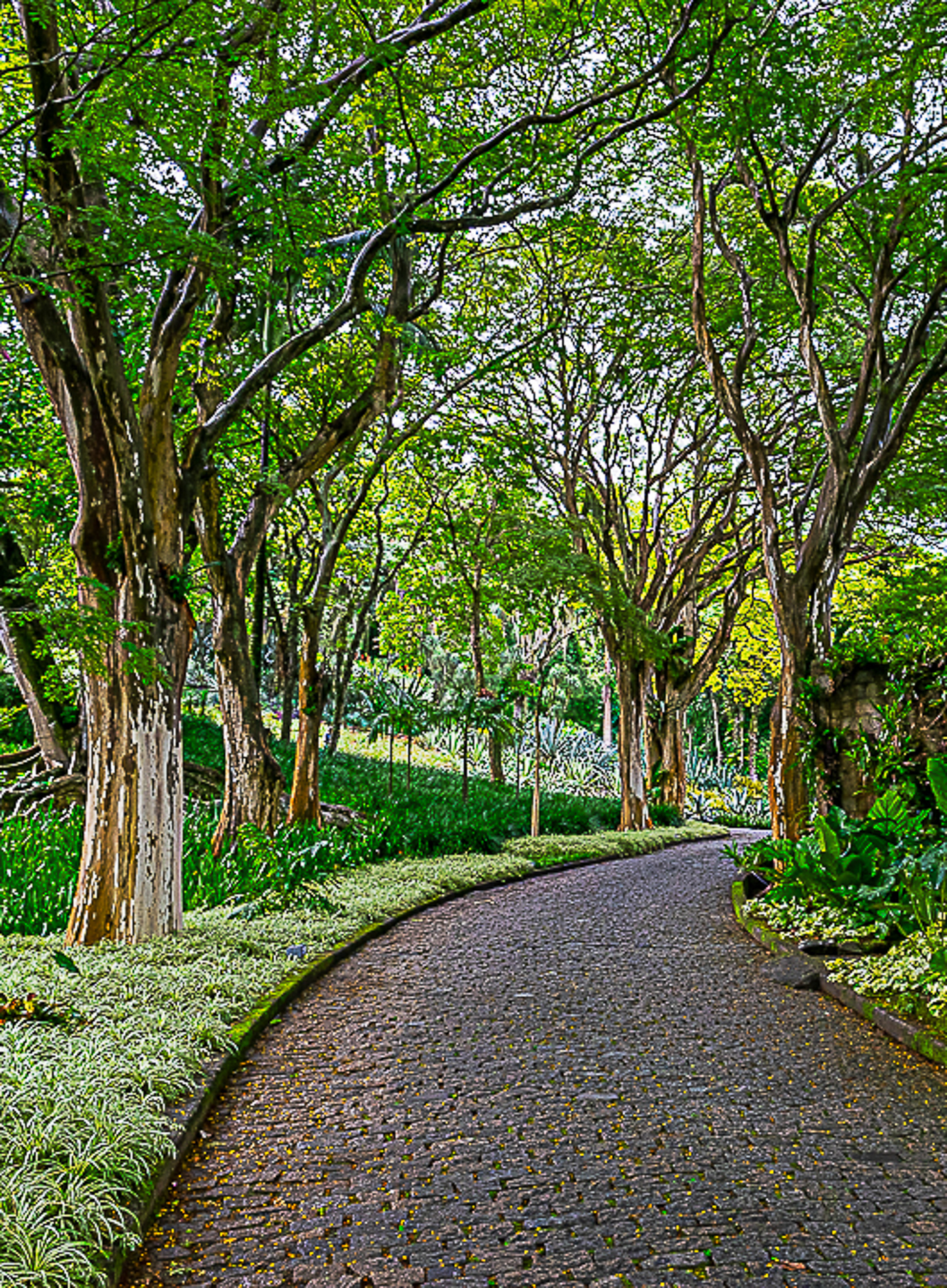 SÍTIO BURLE MARX